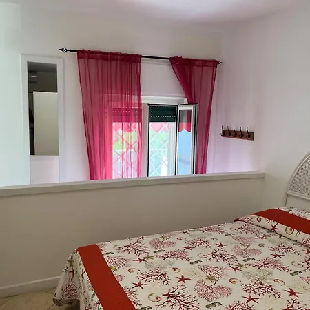 Apartment Giulia